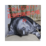 男子高校生の飼い猫with鹿