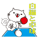 白猫と卓球