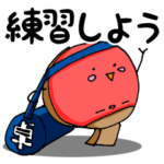 卓球生活 – 練習編 –