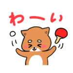 卓球をこよなく愛する犬