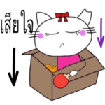 タイ語 卓球部 白猫のラン