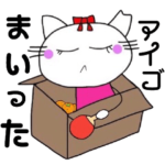 白猫ラン 卓球部