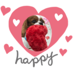 キャバリアのハッピーくん登場