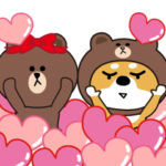 柴犬×BROWN & FRIENDS