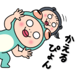 しろめちゃん　かえる連絡