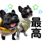 ♡♡イヴポテ♡♡