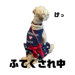 しっぽのゆかいななかまたち2