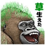 ゴリラ・ゴリラ４