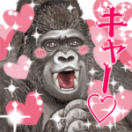 君とゴリラ
