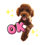 ぷぅくん〜トイプードル〜