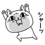 動くじろりねこ毎日連絡だよ