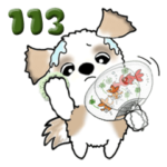 シーズー犬 113『梅雨から初夏』普通サイズ