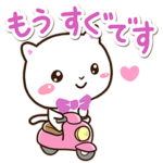 シロネコすたんぷ