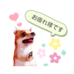 よく使う文字入り♡ペット