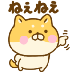 あまえたいゆる柴犬