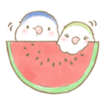 コザクラインコのあおちゃんとあもちゃん夏