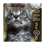 ちいたんの日常スタンプ