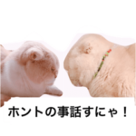 ジルとブルボン  危機編