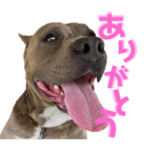 ボンズのスタンプ