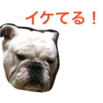 魅惑のボンちゃん