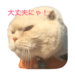 ブルボンにゃ！