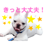 フレブル ボンちゃんスタンプ3