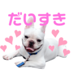 フレブル ボンちゃんスタンプ2