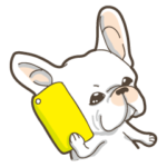 フレンチ・ブルドッグ ボンボン