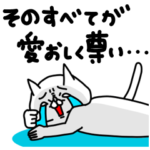 全力ねこ気持ちを伝える編
