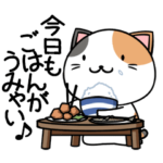 動く！下町のネコ5