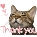 猫のすたんぷ。。。