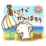 夏もがんばるねこっち