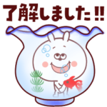 動く！うさぎさん。梅雨～夏編