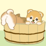 よちよち豆柴　かくれんぼ