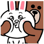 Good friends Brown & Cony's daily life 5