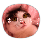 のっちゃんすたんぷ