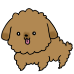 トイプードルのQ太郎スタンプ