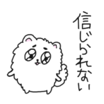 ひねくれ者のポメラニアン