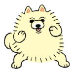 二足歩行のポメラニアン