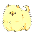 黄色い毛玉のポメラニアン