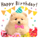 Cute☆ポメラニアン