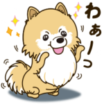 気軽にポメラニアン 日常編