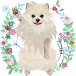 ポメラニアンの動くスタンプ