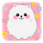 ポメラニアン☆ぽちゃんの日常会話