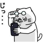 全力ねこの年寄り扱いすなっ編