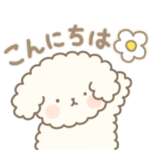 トイプードルなのです。