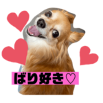 ドールちゃんの博多弁スタンプ♡