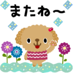 絵本みたいな＊飛び出す＊トイプードル