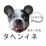 気付けば覚えちゃってる楽チン韓国語②