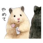 ハムスター助六の日常6